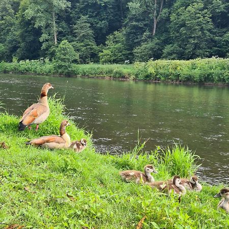 Ferienwohnung Bergischer Dreiklang Windeck Bagian luar foto